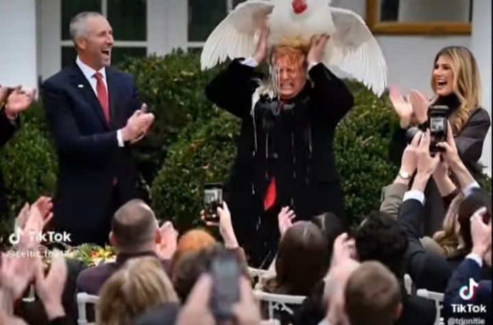 Commotion at the White House: A Thanksgiving turkey gets loose and suddenly flies onto President Trump’s head during the annual pardoning ceremony — the viral video has now exploded into memes