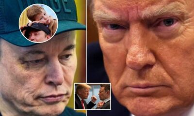 Trump and Elon Musk