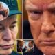 Trump and Elon Musk