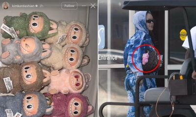 theory about China's popular Labubus sported by Kim Kardashian and Rihanna