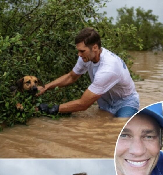 Tom Brady rescues