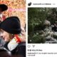 Travis Kelce and Taylor Swift engaged