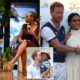 Prince Harry Quits