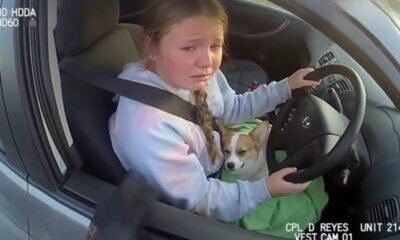 Breaking News: 12-Year-Old Girl in Texas Drives Nearly a Mile Because Her Puppy Was Dying — Pulled Over by an Officer Who Immediately Rushed the Pup to the Vet and Saved Its Life — But What He Told Her Mom Before Leaving Has the Internet in Tears… Read the Full Story Below
