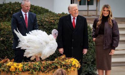 Commotion at the White House: A Thanksgiving turkey gets loose and suddenly flies onto President Trump’s head during the annual pardoning ceremony — the viral video has now exploded into memes