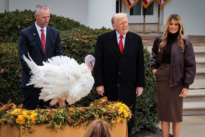 Commotion at the White House: A Thanksgiving turkey gets loose and suddenly flies onto President Trump’s head during the annual pardoning ceremony — the viral video has now exploded into memes